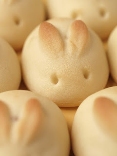 Bunny Rolls:) who said the internet couldn't be useful to bunnys?