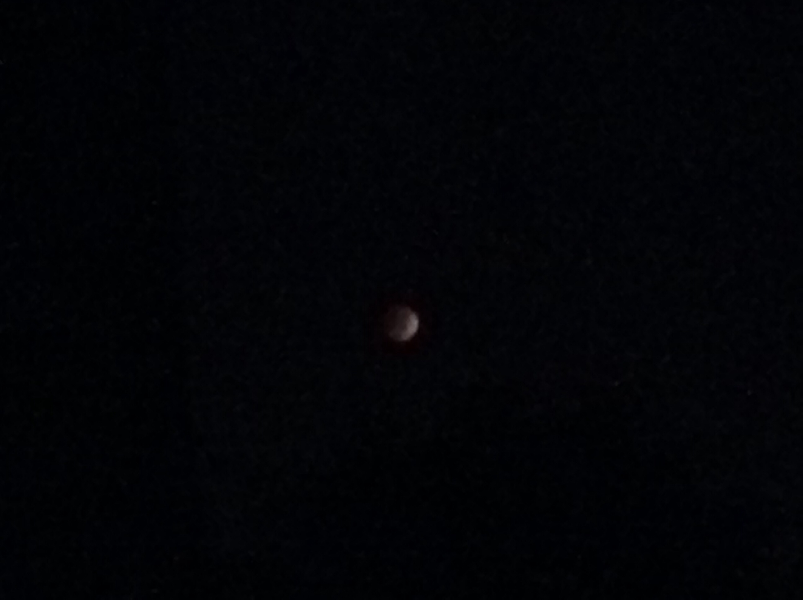 The blood moon from the bunny land :)
